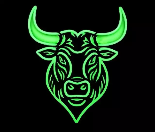 bullTeam