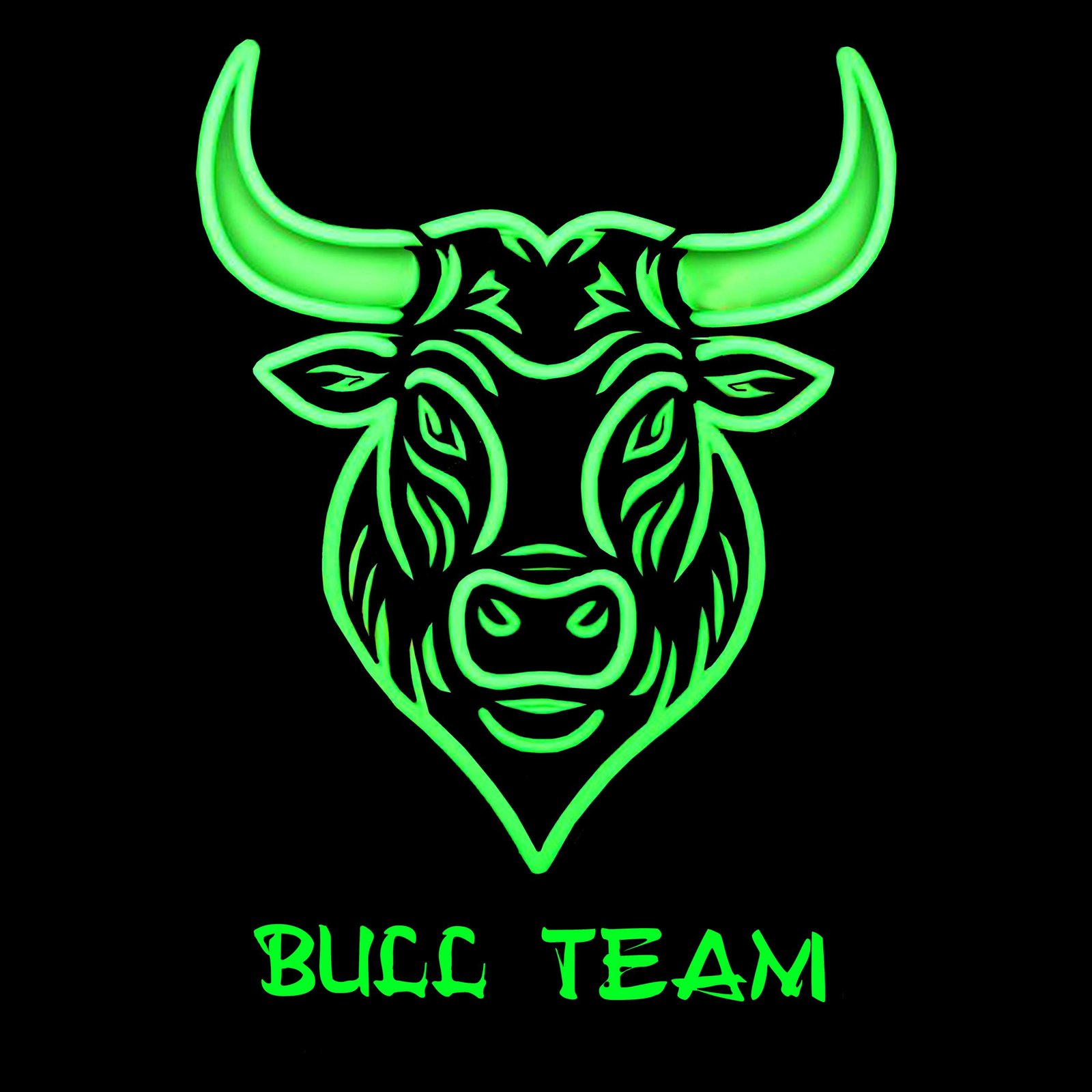 bullteamtrading.com